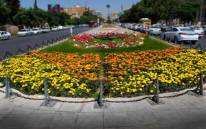 عطر تابستان با کاشت گل های دائمی و فصلی در محدوده منطقه یک  &nbsp;
