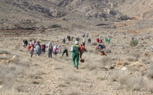 اجرای طرح فصل درختکاری با کمک شهروندان شیراز  &nbsp;