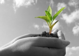 اميد فرداها